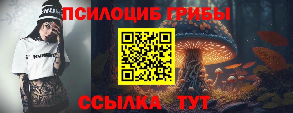 Псилоцибиновые грибы прущие грибы  Вход с VPN  Ачхой-Мартан 
